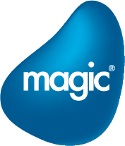 Microsoft .NET Frameworkon alapulú Fejlesztők – MagicSoftware